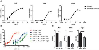 Bovine IgG Prevents Experimental Infection With RSV and Facilitates Human T Cell Responses to RSV